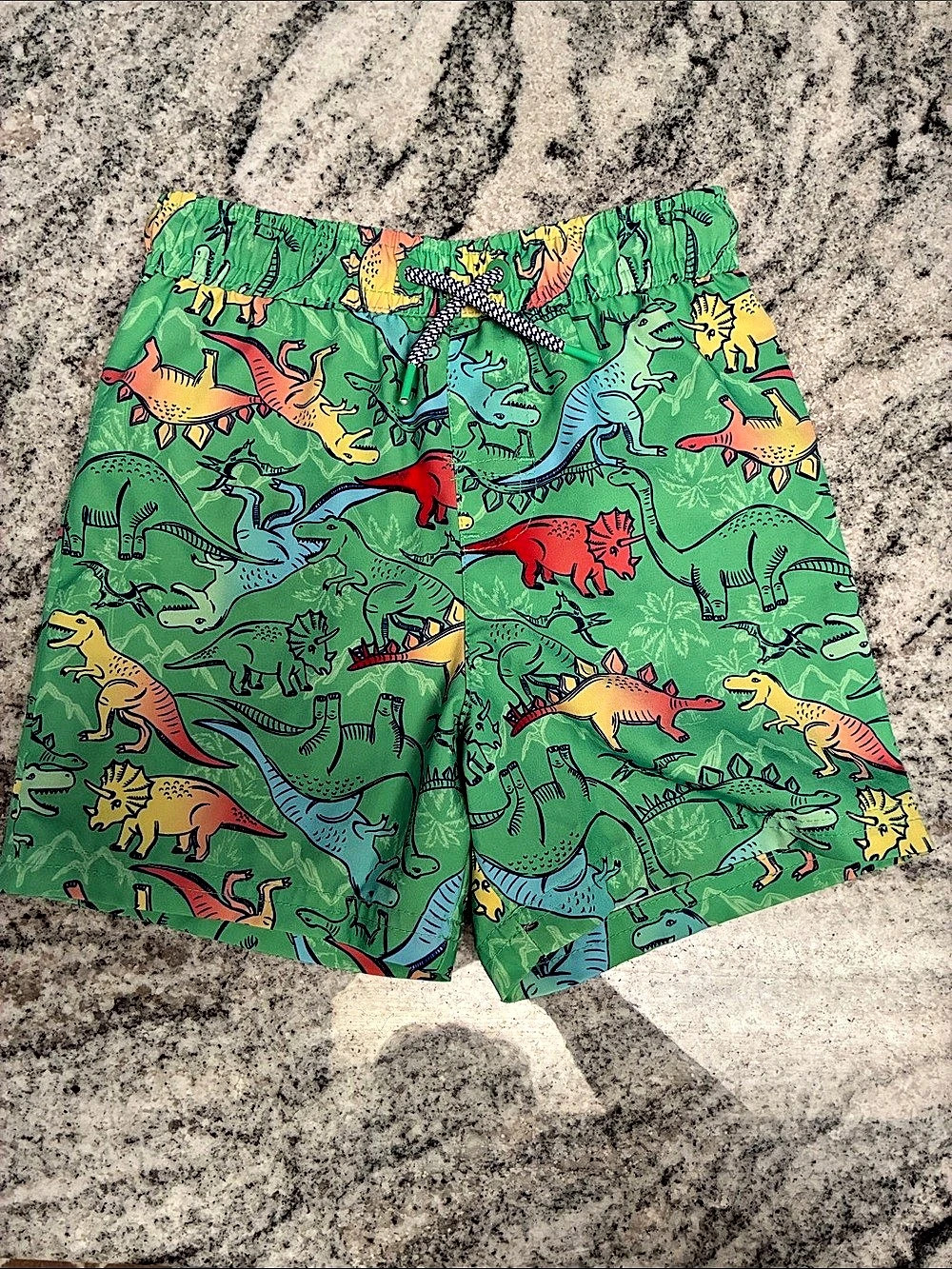 Wonder Nation Dinosaur Swim Trunks Size 3T
